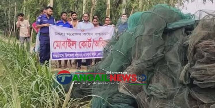 বাসাইলের হাবলায় আড়াই লক্ষ টাকার চায়না দুয়ারী জাল পুড়িয়ে ধ্বংস