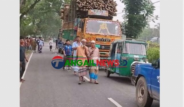 সখীপুরে সড়ক দুর্ঘটনায় চারজন নিহত