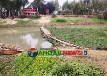 সেতুর অভাবে ঝুঁকিপূর্ণ সাঁকো পেরিয়ে চলাচল সখীপুর-বাসাইলের মানুষের