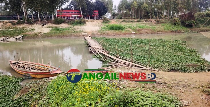 সেতুর অভাবে ঝুঁকিপূর্ণ সাঁকো পেরিয়ে চলাচল সখীপুর-বাসাইলের মানুষের