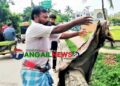 টাঙ্গাইলে নদীতে ফেলা হলো কোরবানির চামড়া ॥ মূল্য বিপর্যয় ও ক্রেতা সংকট