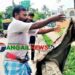 টাঙ্গাইলে নদীতে ফেলা হলো কোরবানির চামড়া ॥ মূল্য বিপর্যয় ও ক্রেতা সংকট
