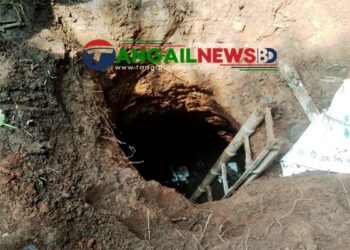 মধুপুরে ছাগল বাঁচাতে গিয়ে বাবা-ছেলেসহ একই পরিবারের চারজনের মৃত্যু