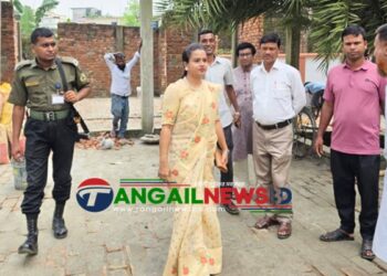 ধনবাড়ী উপজেলার বিভিন্ন উন্নয়নমূলক কাজ ইউএনও’র পরিদর্শন