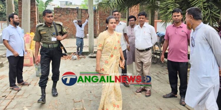 ধনবাড়ী উপজেলার বিভিন্ন উন্নয়নমূলক কাজ ইউএনও’র পরিদর্শন