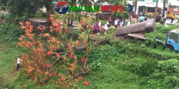 গোপালপুরে ঝড়ে ভেঙে পড়েছে দৃষ্টিনন্দন কৃষ্ণচূড়া গাছ