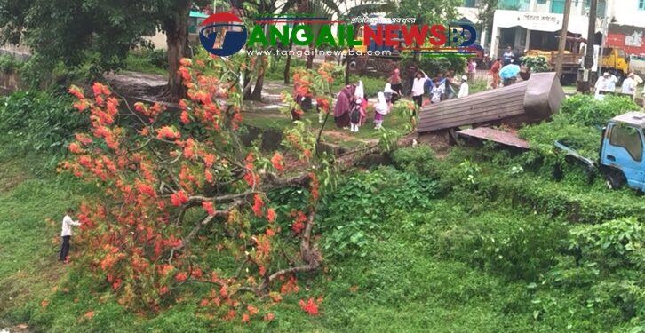 গোপালপুরে ঝড়ে ভেঙে পড়েছে দৃষ্টিনন্দন কৃষ্ণচূড়া গাছ