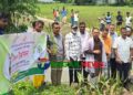 পরিবেশের ভারসাম্য রক্ষায় মধুপুরে কুচিয়া খালে বৃক্ষরোপণ