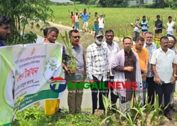 পরিবেশের ভারসাম্য রক্ষায় মধুপুরে কুচিয়া খালে বৃক্ষরোপণ