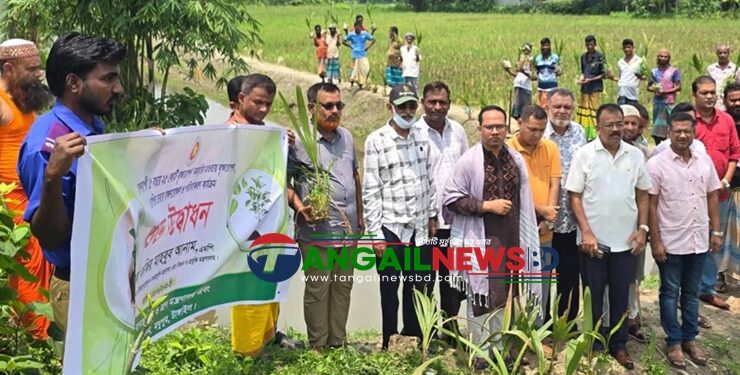 পরিবেশের ভারসাম্য রক্ষায় মধুপুরে কুচিয়া খালে বৃক্ষরোপণ