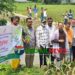 পরিবেশের ভারসাম্য রক্ষায় মধুপুরে কুচিয়া খালে বৃক্ষরোপণ