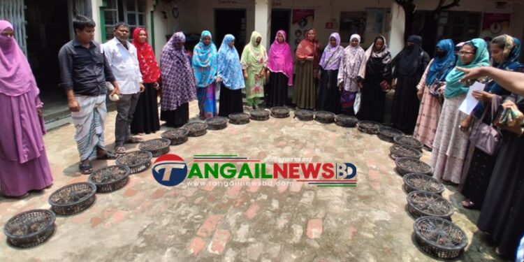 মির্জাপুরে প্রান্তিক নারীদের প্রশিক্ষণ ও বিনামূল্যে মুরগির বাচ্চা বিতরণ