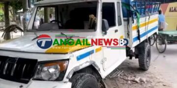 ধনবাড়ীতে সড়ক দুর্ঘটনায় স্কুলছাত্রী নিহত