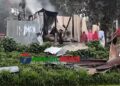 গোপালপুরের গুলিপেঁচায় প্রতিমন্ত্রীর গ্রামে হামলা ও অগ্নিসংযোগ ॥ একজন নিহত