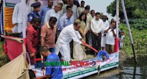 টাঙ্গাইলের ৮টি জলাশয়ে মাছের পোনা অবমুক্ত
