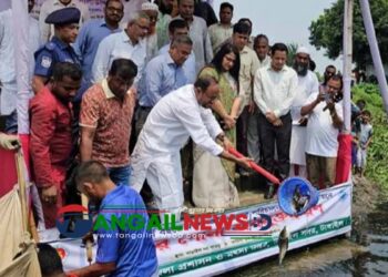 টাঙ্গাইলের ৮টি জলাশয়ে মাছের পোনা অবমুক্ত