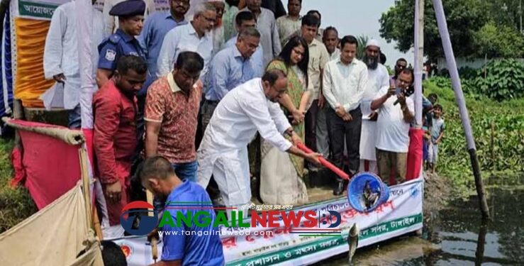টাঙ্গাইলের ৮টি জলাশয়ে মাছের পোনা অবমুক্ত