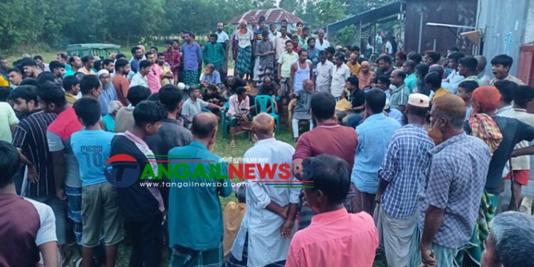 মির্জাপুরে চুরির অপবাদ দিয়ে দুই ভাইকে পিটিয়ে আহত