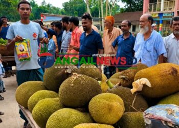 গোপালপুরে একজনকে দাওয়াত ॥ হাজির ১০০ অতিথি