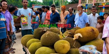 গোপালপুরে একজনকে দাওয়াত ॥ হাজির ১০০ অতিথি