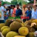 গোপালপুরে একজনকে দাওয়াত ॥ হাজির ১০০ অতিথি