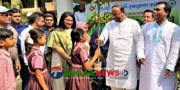 টাঙ্গাইলে প্রায় ৪০ লাখ বনজ, ফলদ ও ওষুধি বৃক্ষ রোপণ করা হবে