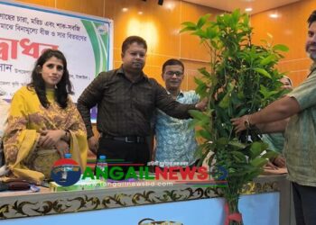 ঘাটাইলে ক্ষুদ্র ও প্রান্তিক কৃষকদের মাঝে বিনামূল্যে বীজ-সার বিতরণ