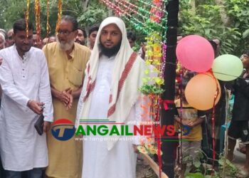 ব্যক্তি অর্থায়নে গোপালপুরের দক্ষিণ বিলডগা খালে কাঠের সেতু নির্মাণ