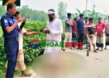 ধনবাড়ীতে বাসচাপায় মোটরসাইকেল আরোহী নারী নিহত