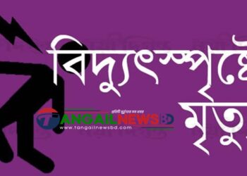 মধুপুরে বিদ্যুৎস্পৃষ্ট হয়ে মাসুদ রানার মৃত্যু