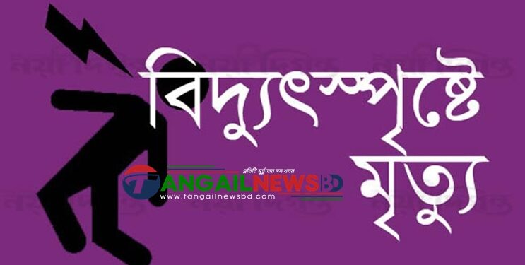 মধুপুরে বিদ্যুৎস্পৃষ্ট হয়ে মাসুদ রানার মৃত্যু