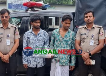 সখীপুরে ৫৮০ পিস ট্যাপেন্টাডল ট্যাবলেটসহ দুই সহোদর আটক