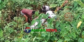 সখীপুরে নিখোঁজ নারীর মরদেহ ডোবা থেকে উদ্ধার