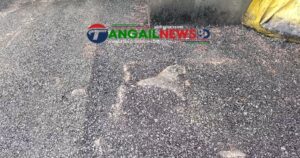 কালিহাতীতে রাস্তার কার্পেটিংয়ে গাছের গোড়া পর্যন্ত বিটুমিনে ঢেকে দেওয়া হয়