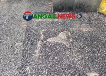কালিহাতীতে রাস্তার কার্পেটিংয়ের সময় গাছের গোড়া পর্যন্ত বিটুমিন দিয়ে ঢেকে দেওয়া হয়