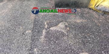 কালিহাতীতে রাস্তার কার্পেটিংয়ের সময় গাছের গোড়া পর্যন্ত বিটুমিন দিয়ে ঢেকে দেওয়া হয়