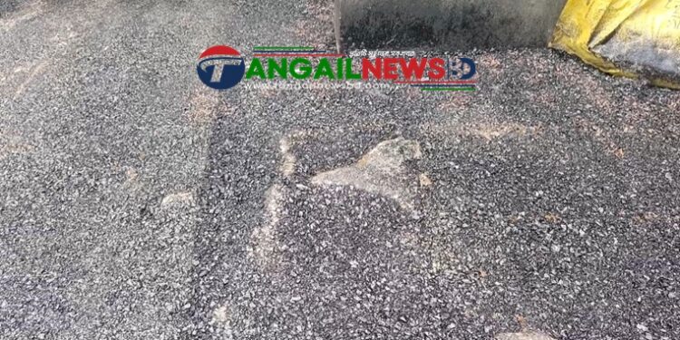 কালিহাতীতে রাস্তার কার্পেটিংয়ের সময় গাছের গোড়া পর্যন্ত বিটুমিন দিয়ে ঢেকে দেওয়া হয়