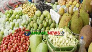 টাঙ্গাইলে রঙে-রসে মধু মাস ॥ পরিপূর্ণ ফলের বাজার
