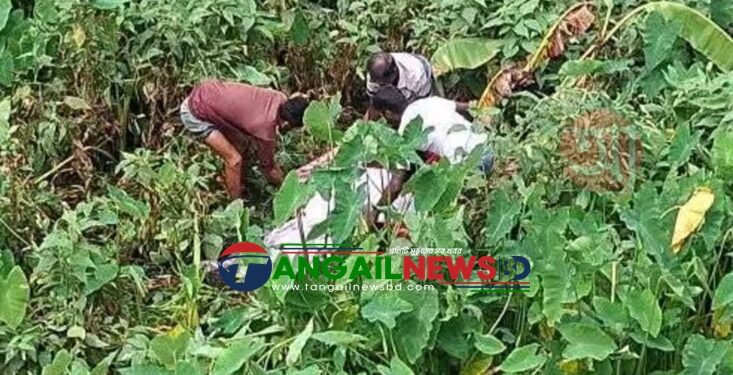 সখীপুরে নিখোঁজ নারীর মরদেহ ডোবা থেকে উদ্ধার