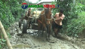 নাগরপুরের মোকনায় ব্রীজ ও পাকা রাস্তা না থাকায় ভোগান্তি