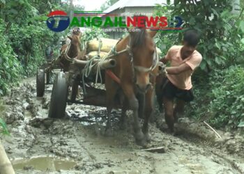 নাগরপুরের মোকনায় ব্রীজ ও পাকা রাস্তা না থাকায় ভোগান্তি