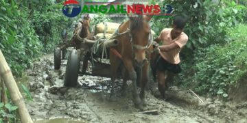 নাগরপুরের মোকনায় ব্রীজ ও পাকা রাস্তা না থাকায় ভোগান্তি