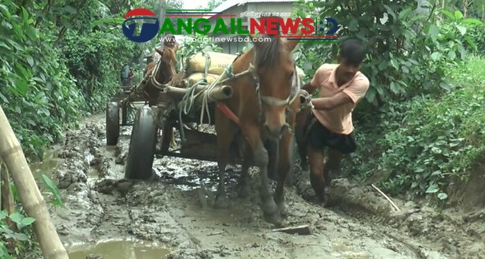 নাগরপুরের মোকনায় ব্রীজ ও পাকা রাস্তা না থাকায় ভোগান্তি