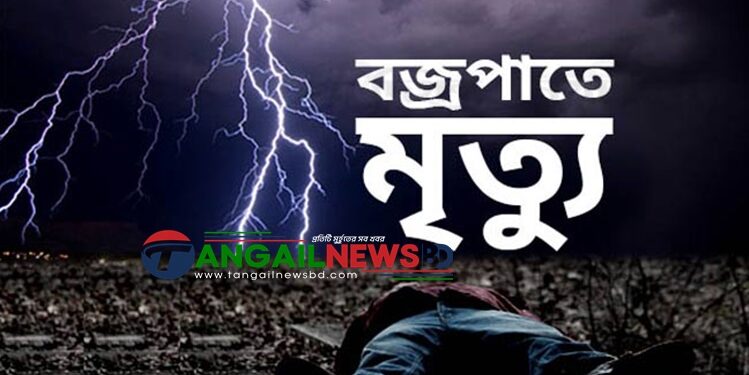 ভুঞাপুরের শুশুয়া চরে বজ্রপাতে দুই দিনমজুরের মৃত্যু