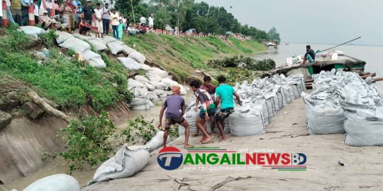 যমুনায় পানি বৃদ্ধি অব্যাহত ॥ গোপালপুরে শাখারিয়ায় ঝুঁকিপূর্ণ বন্যা নিয়ন্ত্রণ বাঁধ