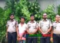 ভূঞাপুরে পাটক্ষেতের আড়ালে গাঁজা চাষ ॥ কারবারি আল আমিন গ্রেফতার
