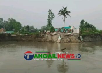 নাগরপুরে অর্ধশতাধিক ঘরবাড়ি যমুনা নদী গর্ভে বিলীন