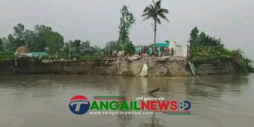 নাগরপুরে অর্ধশতাধিক ঘরবাড়ি যমুনা নদী গর্ভে বিলীন