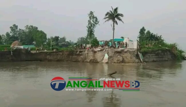 নাগরপুরে অর্ধশতাধিক ঘরবাড়ি যমুনা নদী গর্ভে বিলীন
