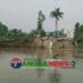 নাগরপুরে অর্ধশতাধিক ঘরবাড়ি যমুনা নদী গর্ভে বিলীন